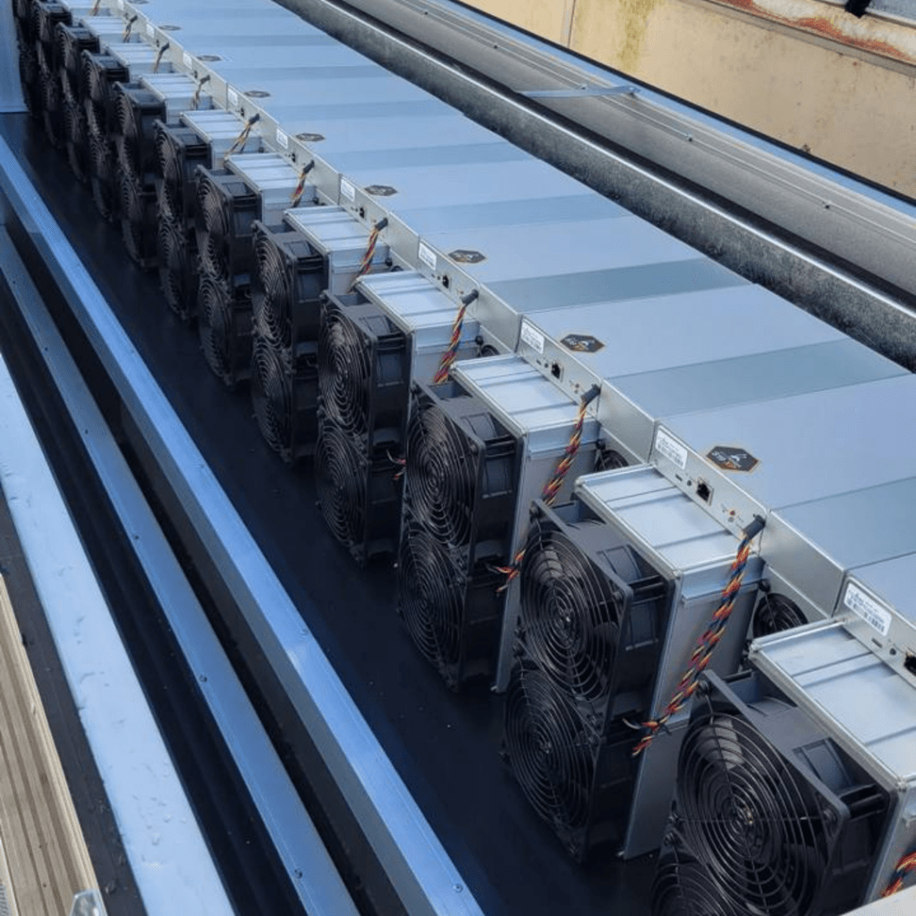 Harnessing Bitcoin Mining Heat: A Greenhouse Revolution